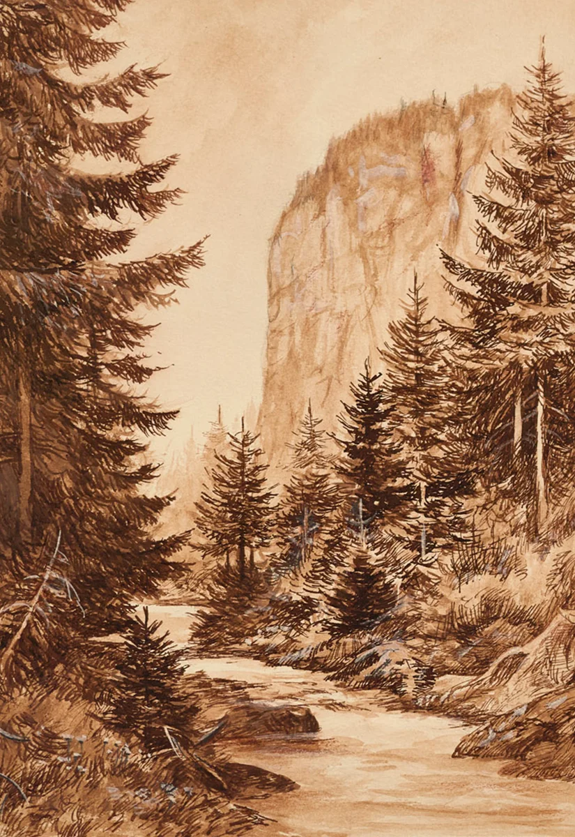 Falkenstein Dietharzer Grund- Walter Venter Zeichnung Falkenstein Dietharzer Grund- Walter Venter Zeichnung