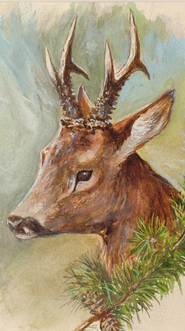 Hirsch Portrait - Walter Venter Gemälde